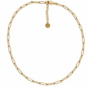 שרשרת ליאל עשויה סטיינלס סטיל בציפוי זהב 18K